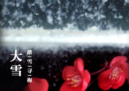 烧杯中的24节气-大雪