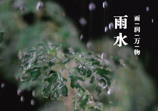 烧杯中的24节气-雨水